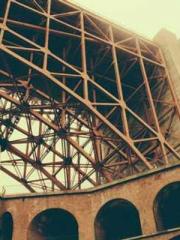 Omnipotent Mad Young