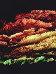 lt;Diga: From Jetton