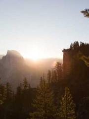 Mr. Shen, overdue an