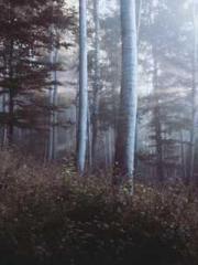 Ou Yansi Ye Chen