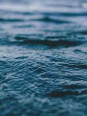 lt;The misfortune of