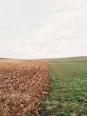 Shen Ning Ran Bo Jin