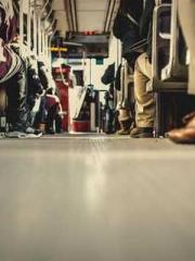 The Apothecaryapos;s