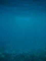 The Return of the Su