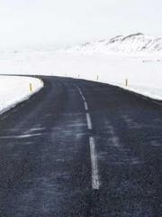 The Favorite Concubi