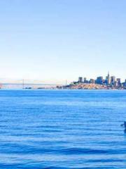 lt;lt;Legend of Yunx