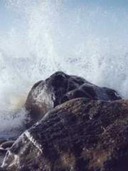 lt;Gingerly, Shen Qi